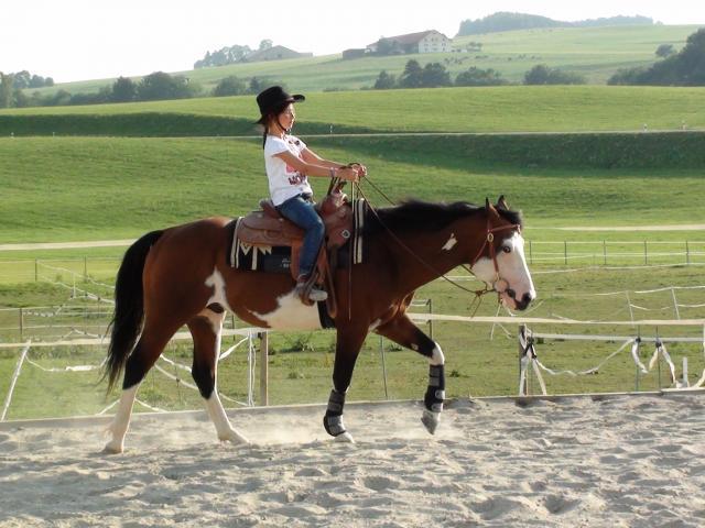 Saillies de Wash Bar Leo, paint horse pleins papiers