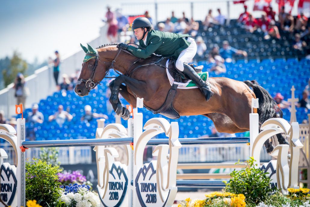 Chaqui Z - Bai - 165cm - 2006