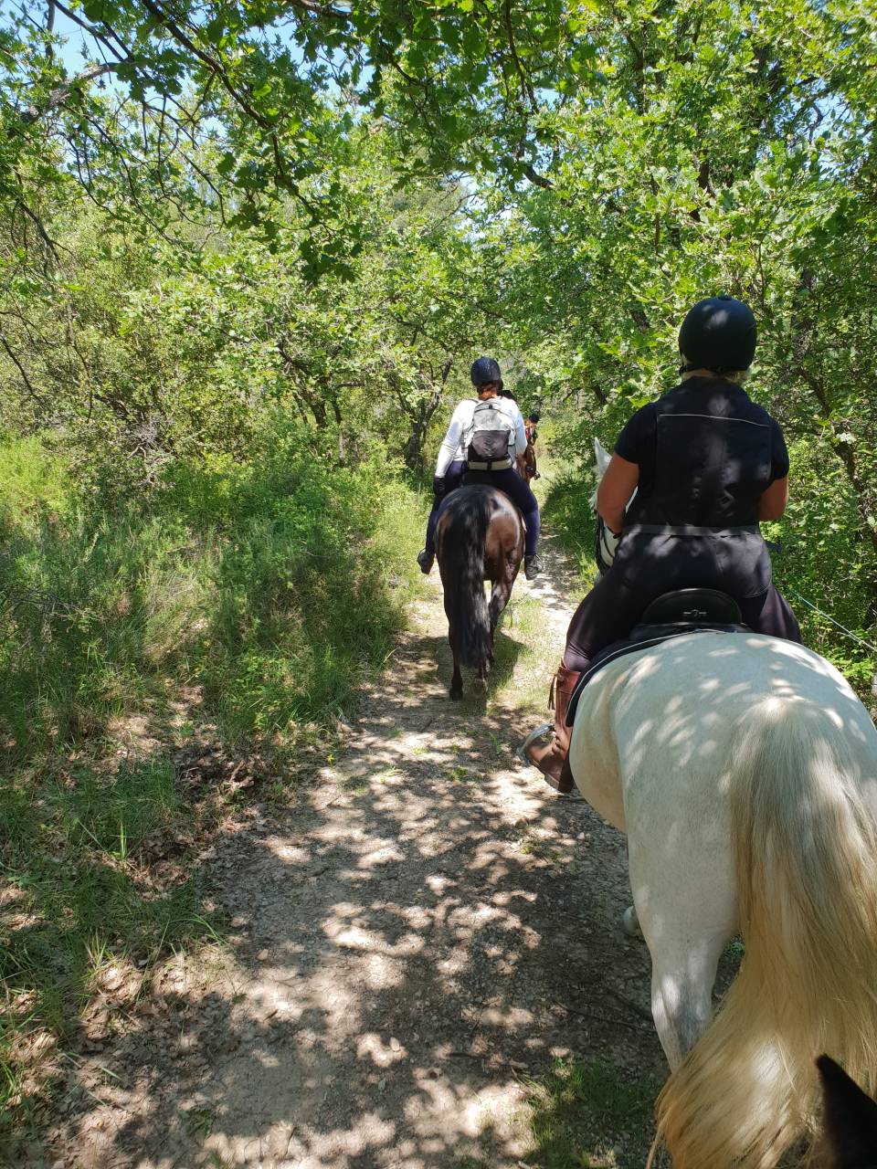 PENSION CHEVAUX FINCA SANTA VICTORIA