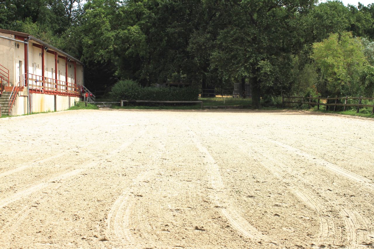 Le Haras D' Usta &eacute;curie de propri&eacute;taires