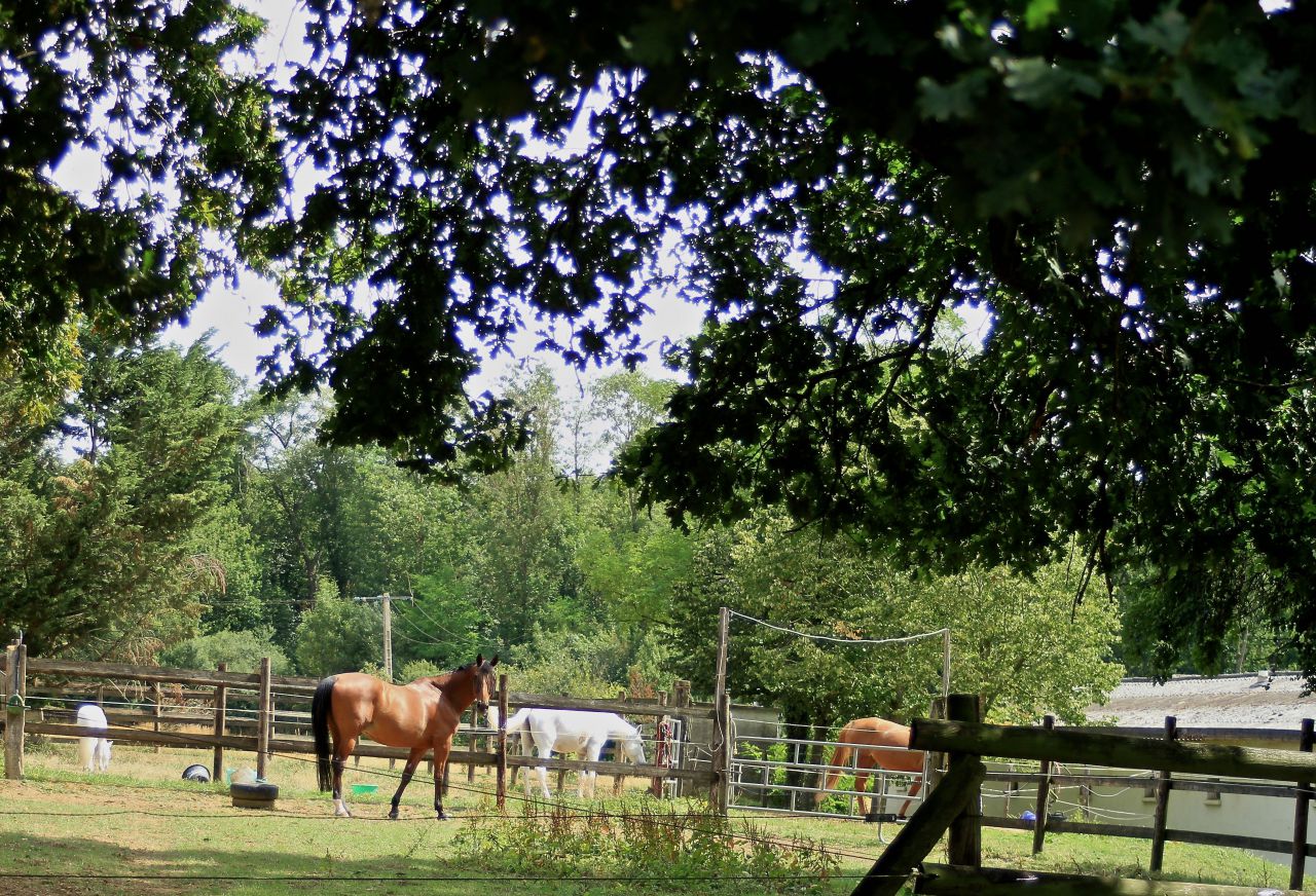 Le Haras D' Usta &eacute;curie de propri&eacute;taires