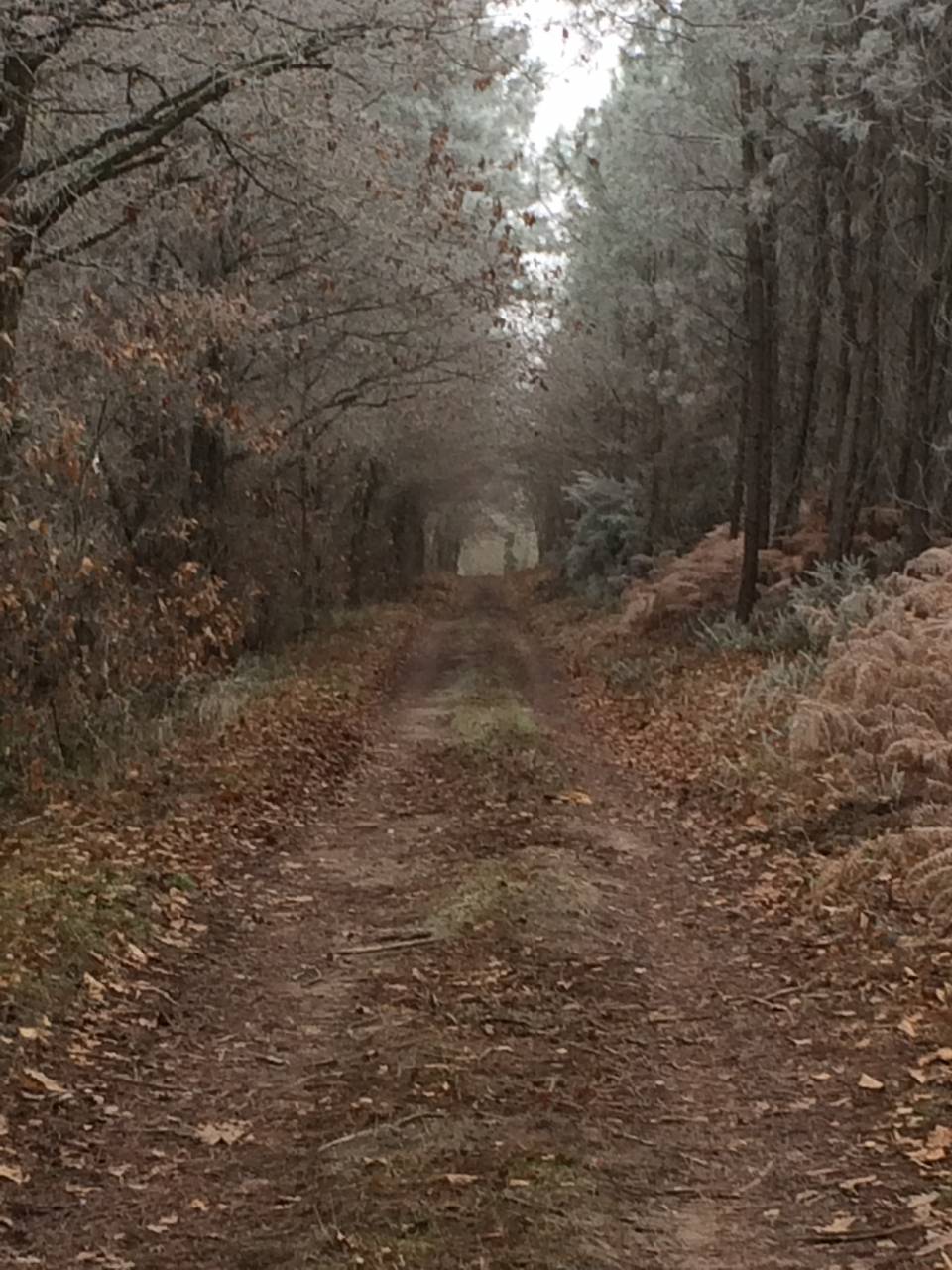 &Eacute;curie et Pensions Angers Saumur Baug&eacute; 