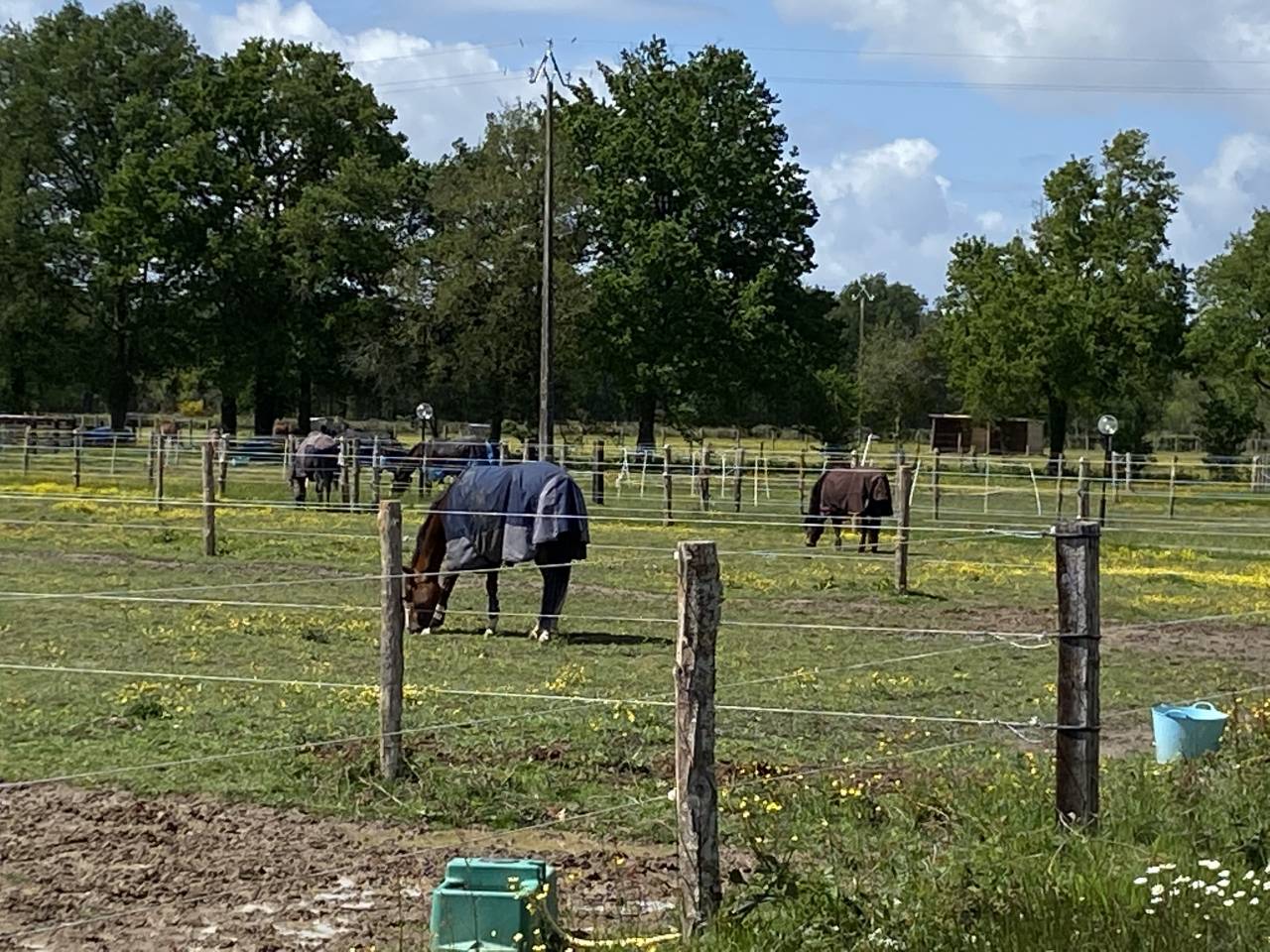 &Eacute;curie et Pensions Angers Saumur Baug&eacute; 
