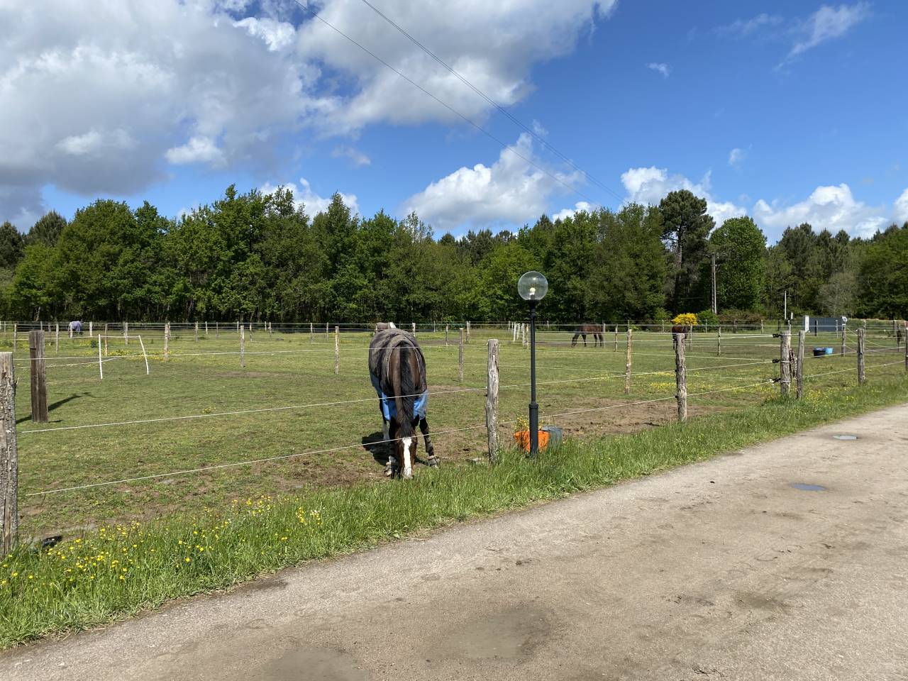 &Eacute;curie et Pensions Angers Saumur Baug&eacute; 