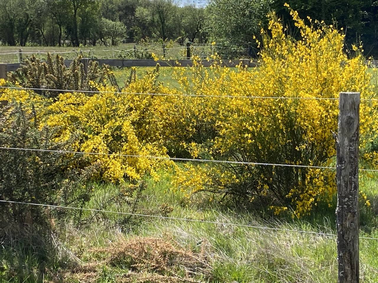 &Eacute;curie et Pensions Angers Saumur Baug&eacute; 