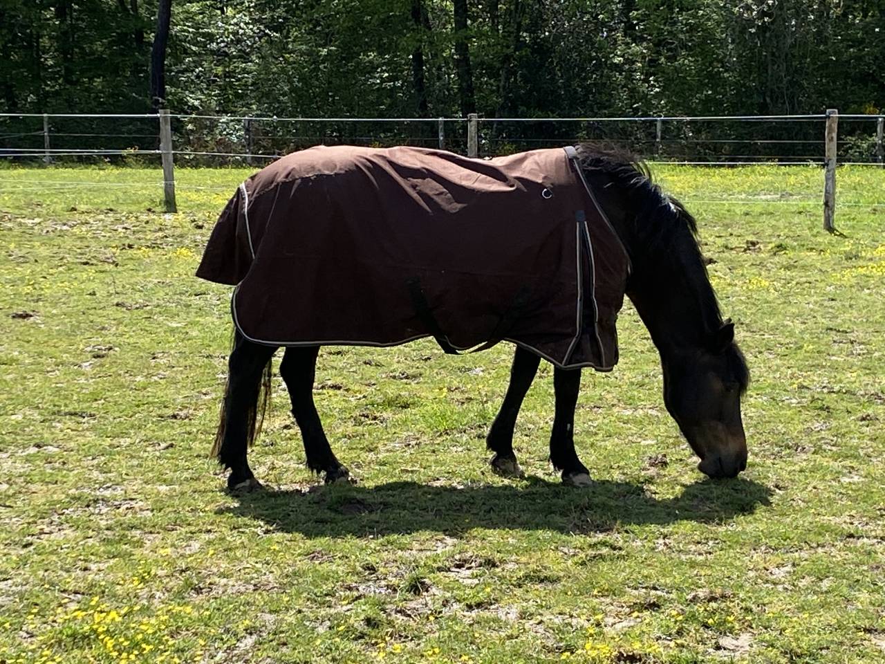 &Eacute;curie et Pensions Angers Saumur Baug&eacute; 