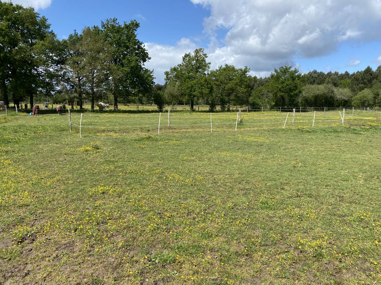 &Eacute;curie et Pensions Angers Saumur Baug&eacute; 