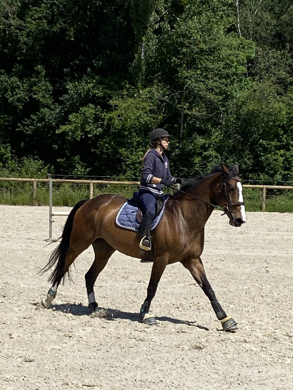 &Eacute;curie et Pensions Angers Saumur Baug&eacute; 