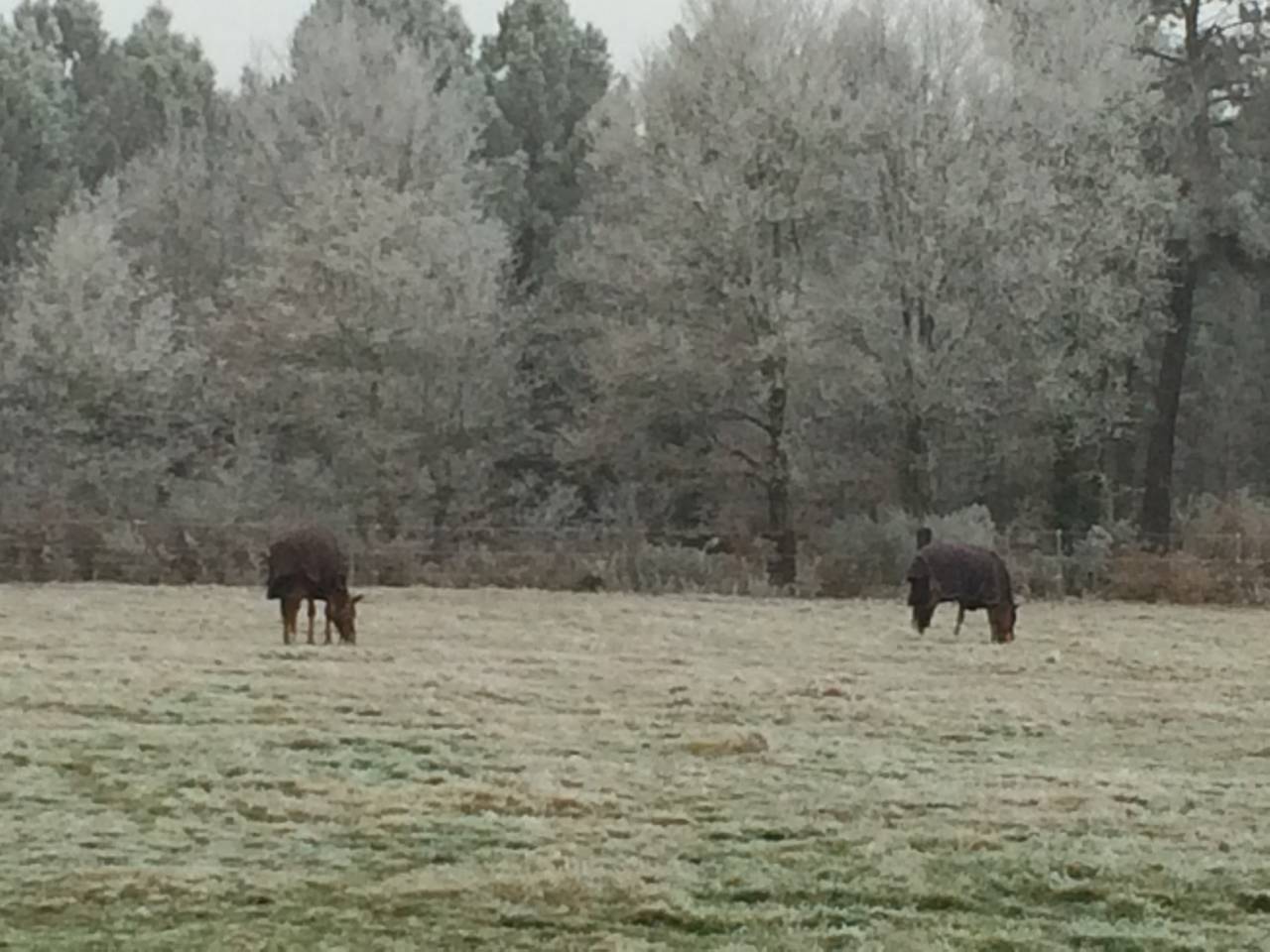 &Eacute;curie et Pensions Angers Saumur Baug&eacute; 