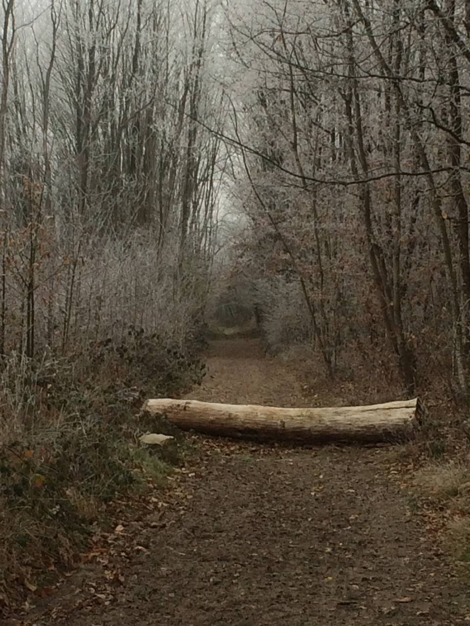&Eacute;curie et Pensions Angers Saumur Baug&eacute; 