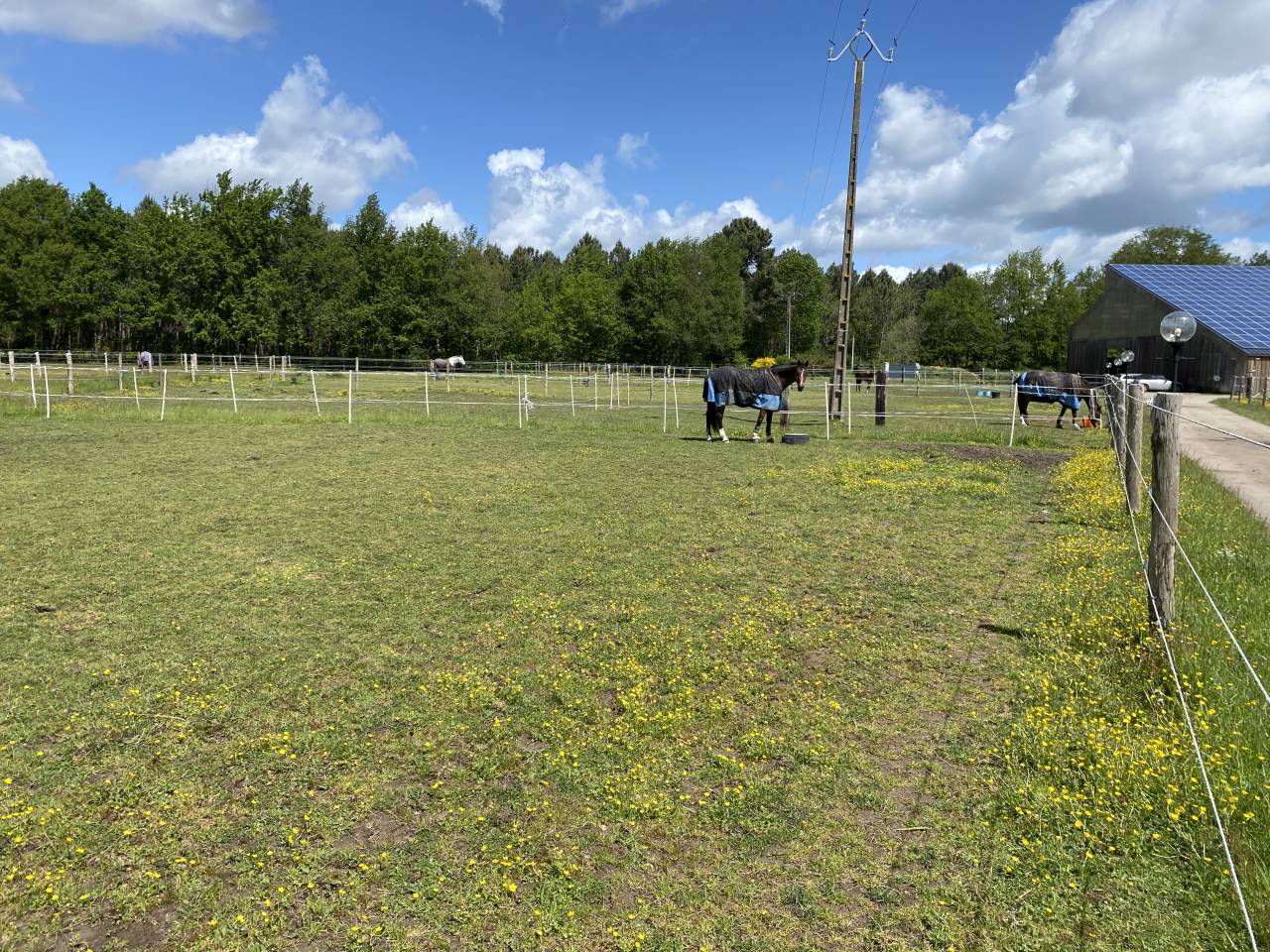 &Eacute;curie et Pensions Angers Saumur Baug&eacute; 