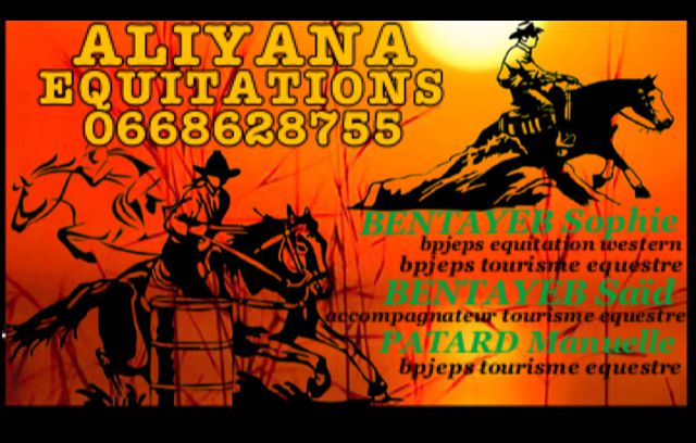 pension dans nouvelle écurie tout confort