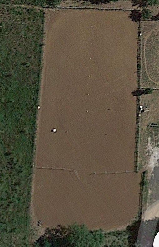 pension dans nouvelle écurie tout confort