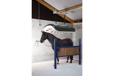 pension dans nouvelle écurie tout confort