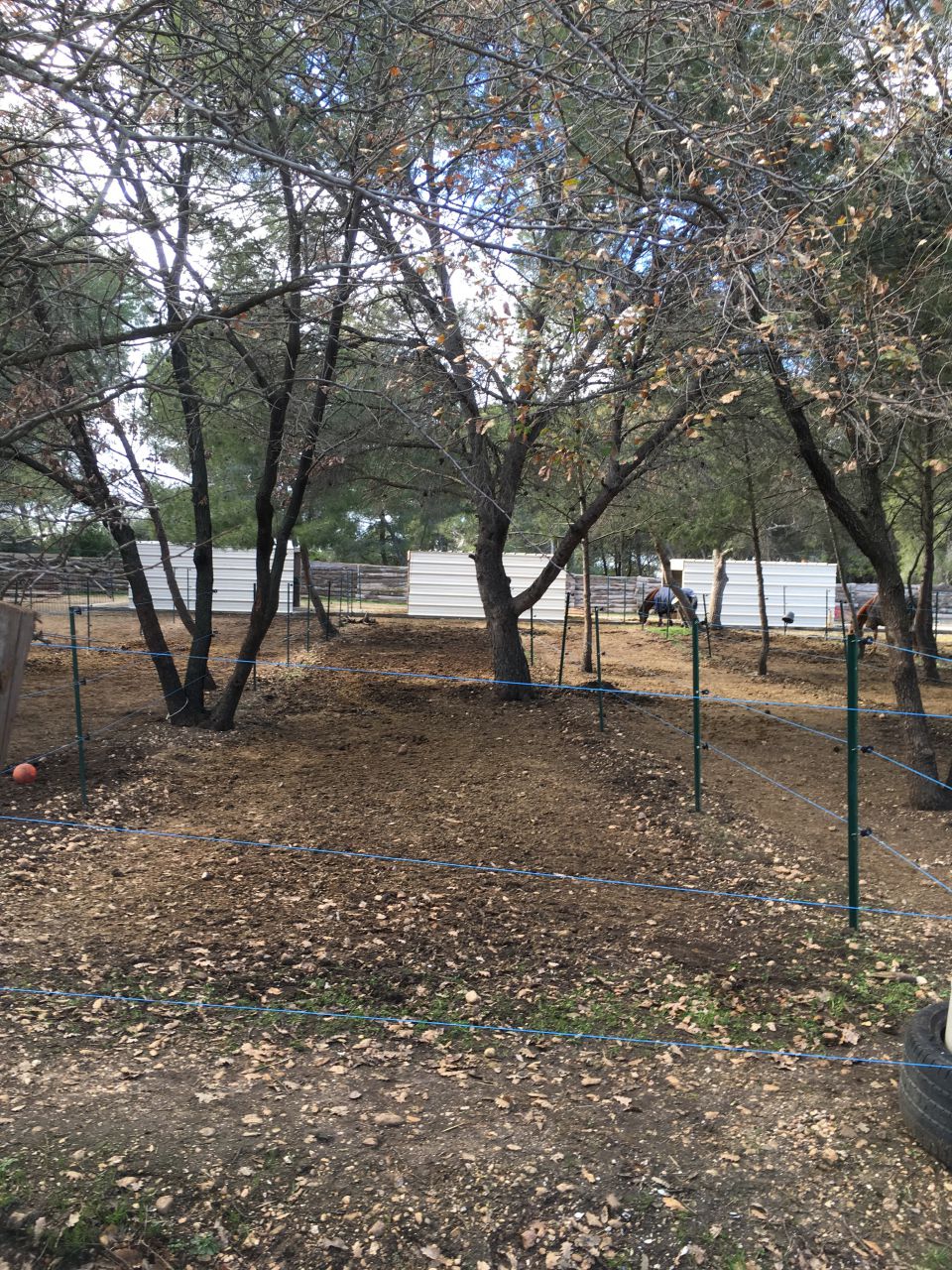 pension dans nouvelle écurie tout confort