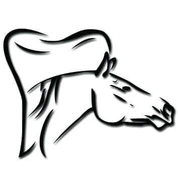 Mickael Pitrey - TECHNICIEN DENTAIRE EQUIN