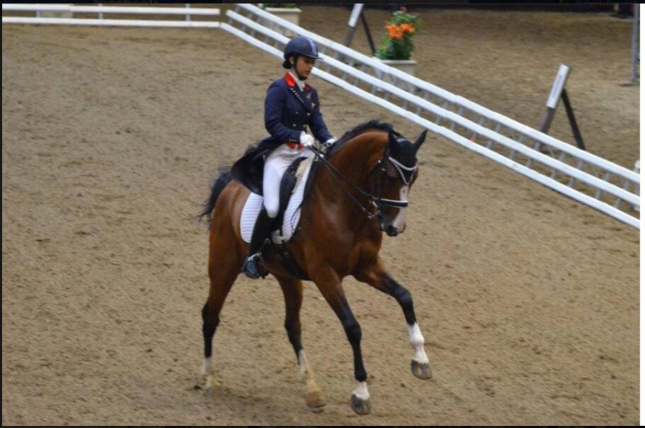 Saillies IAC Don Quichot BWP par Quite Easy & Reina Z