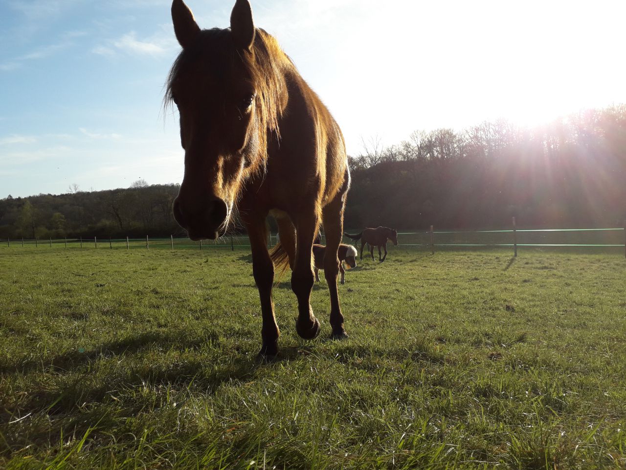 La Dordogne secréte