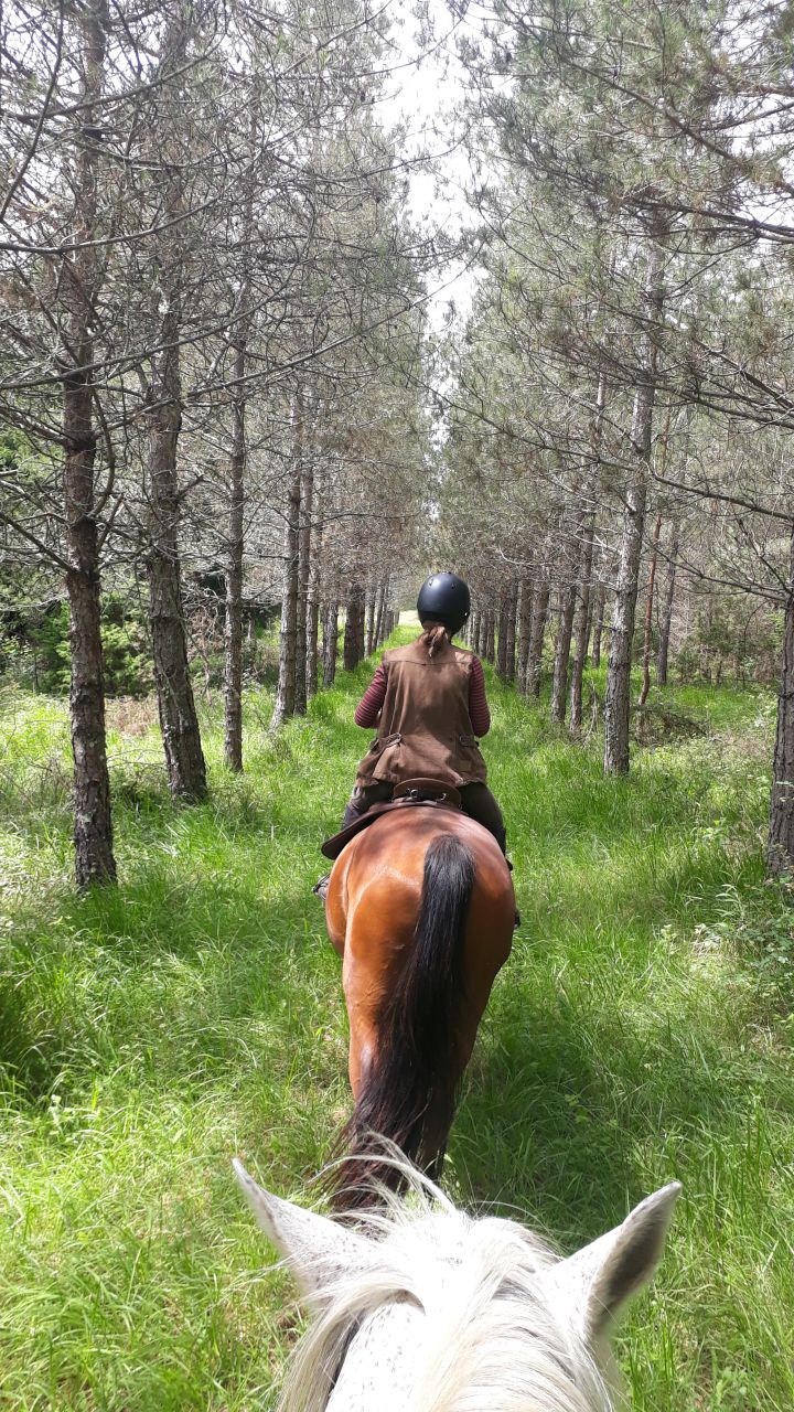 La Dordogne secréte
