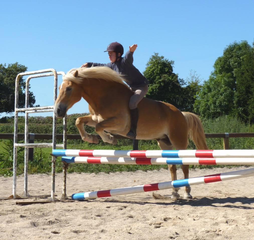 Pension de chevaux à Montceau-les-mines