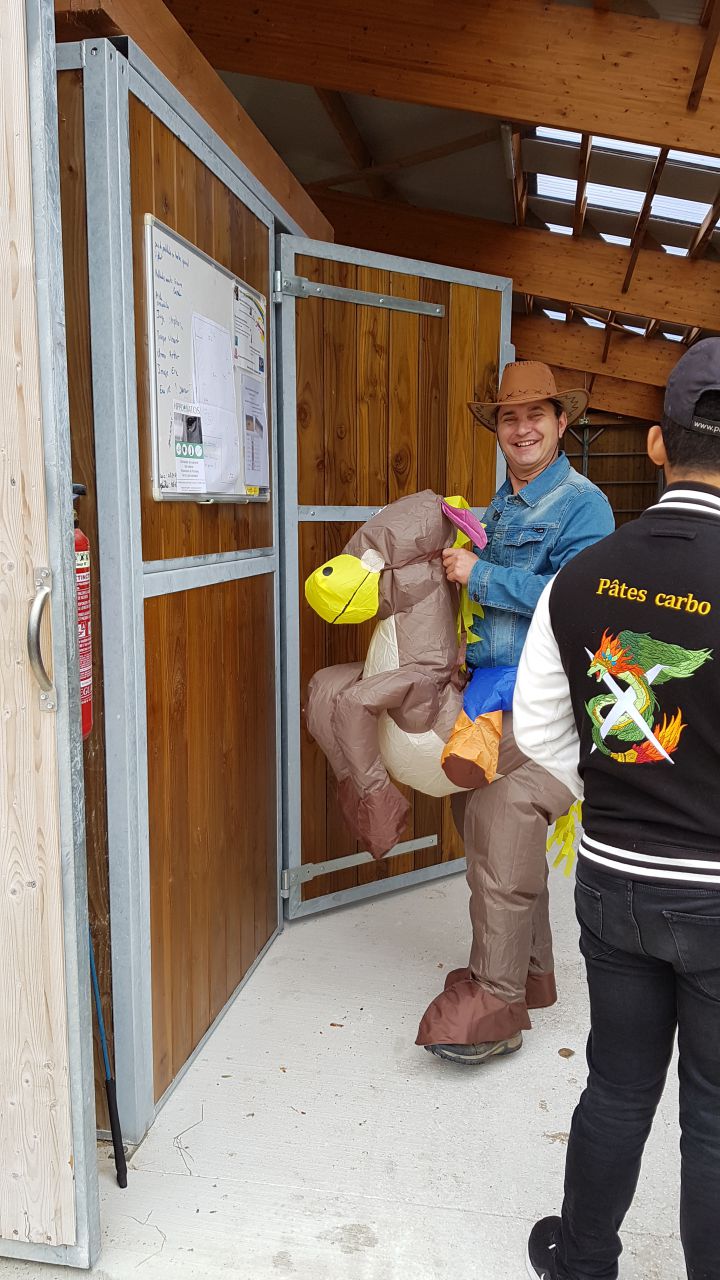 77 - Sainte Avoye-Ecurie propri&eacute;taires - 12 boxes