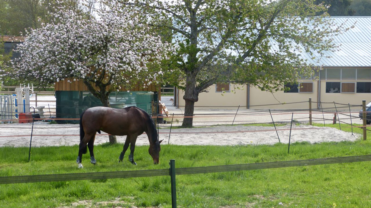 77 - Sainte Avoye-Ecurie propri&eacute;taires - 12 boxes