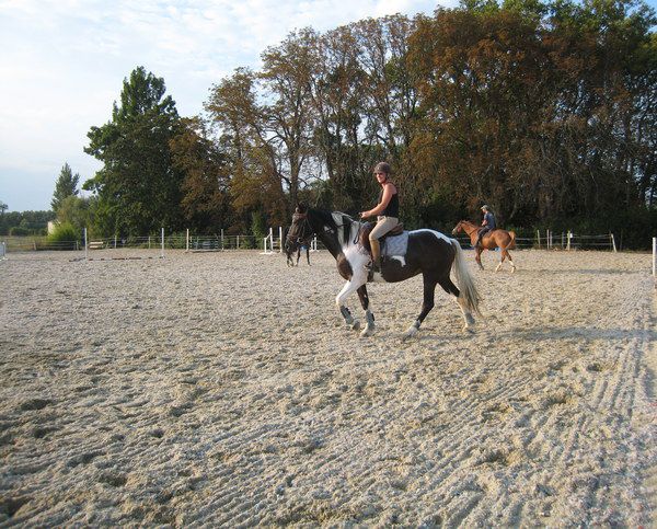 ECURIES DE CONQUES-DAINESE