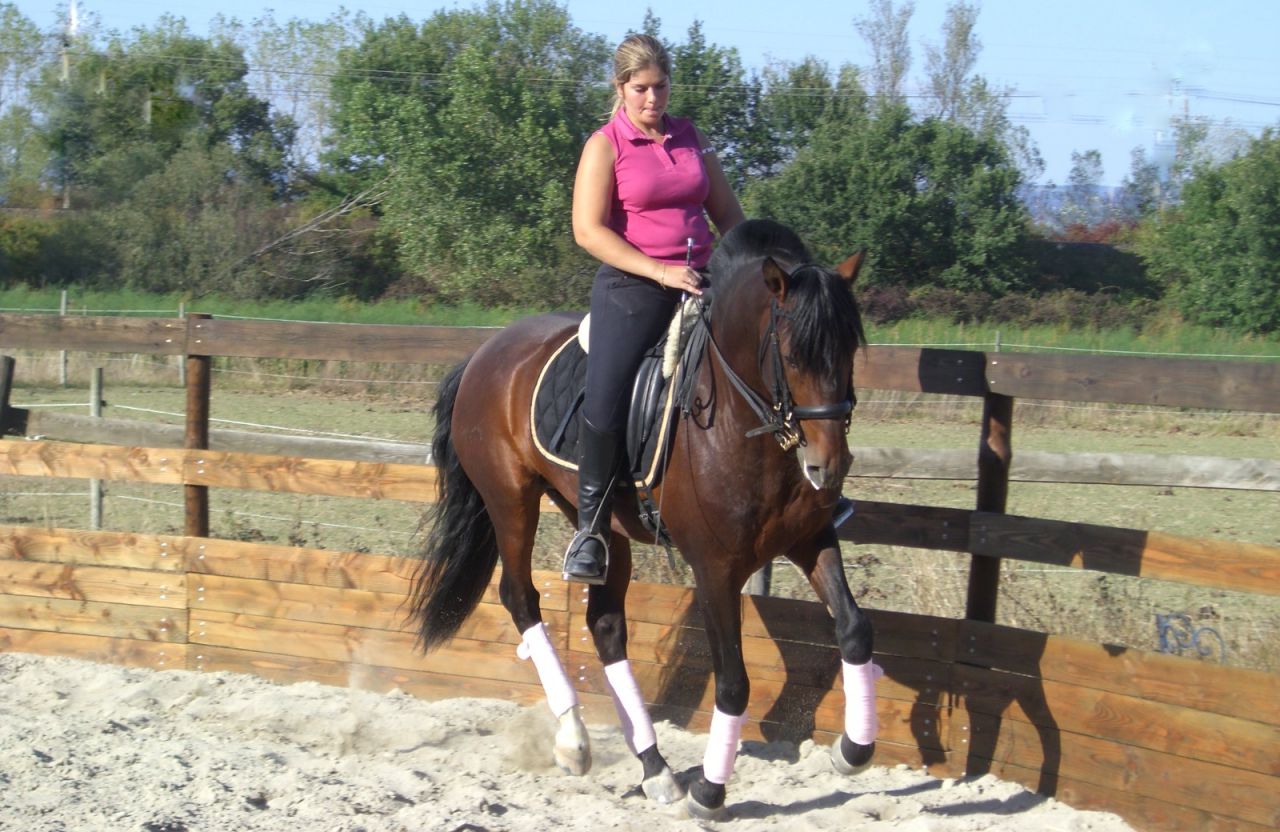 ECURIES DE CONQUES-DAINESE