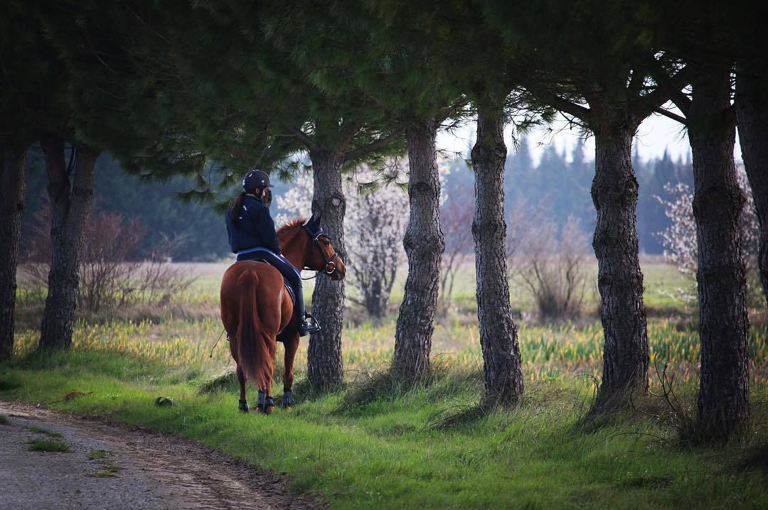ECURIES DE CONQUES-DAINESE