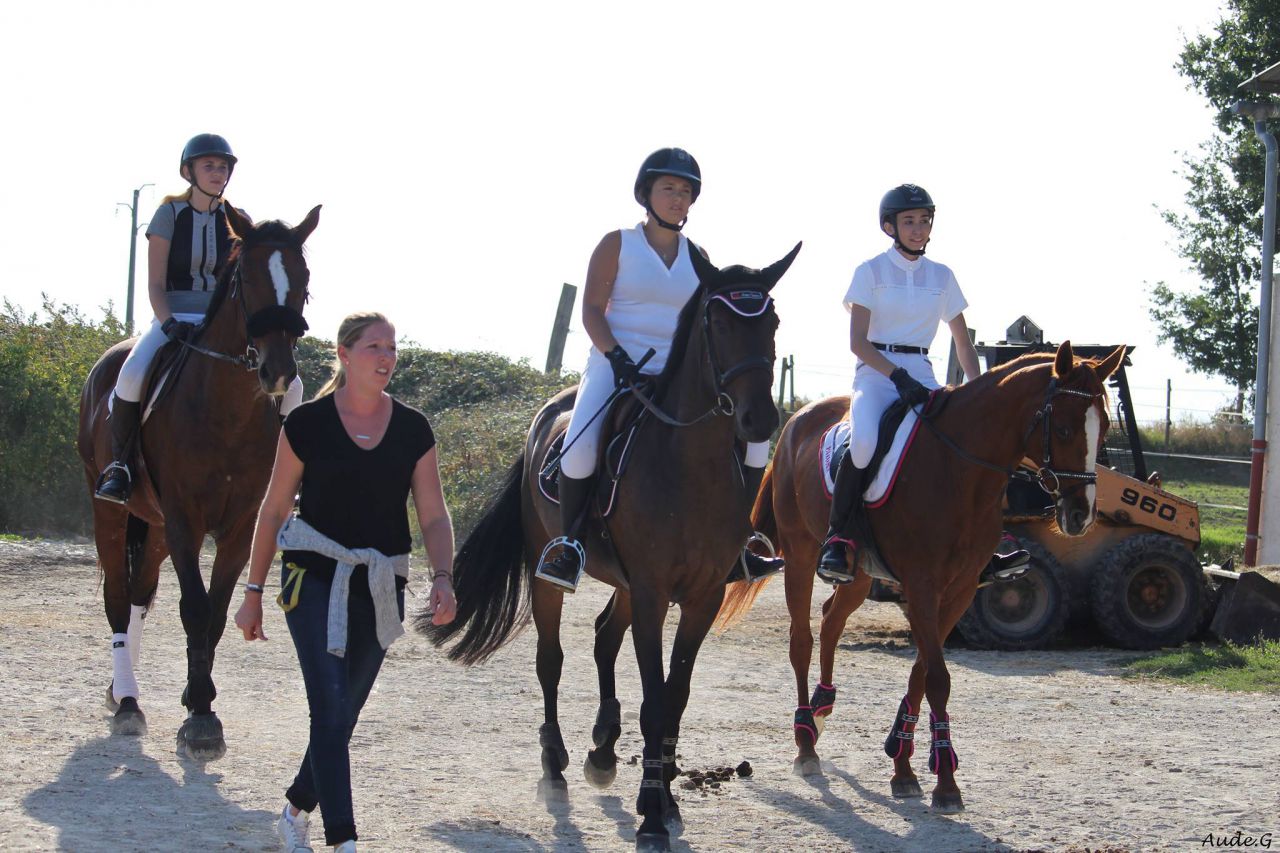 ECURIES DE CONQUES-DAINESE