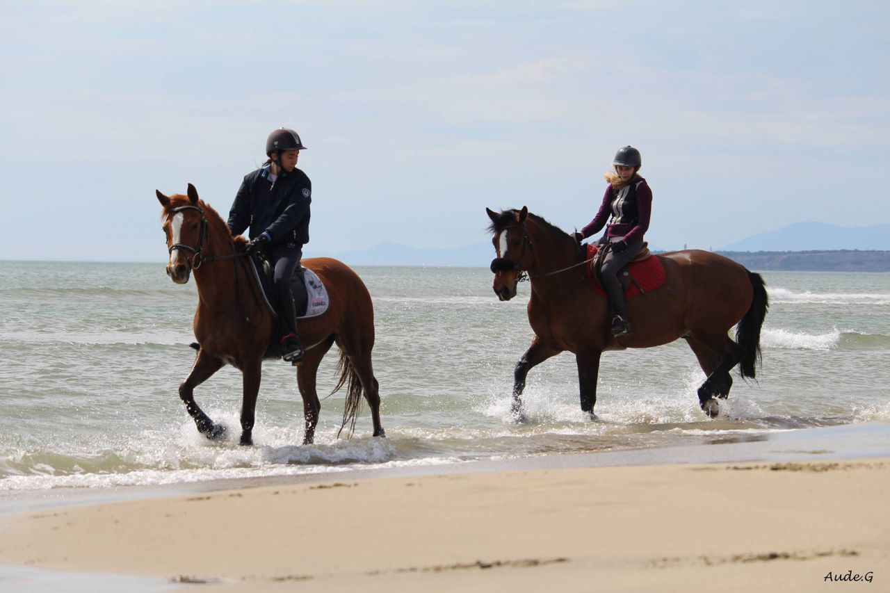 ECURIES DE CONQUES-DAINESE