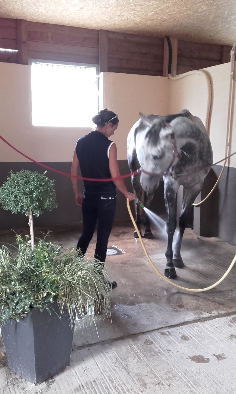 Pensions de qualité, enseignement et gîtes