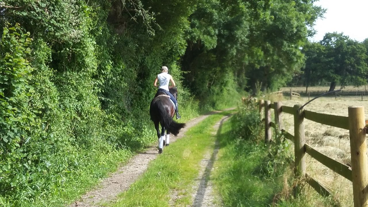Pensions de qualité, enseignement et gîtes