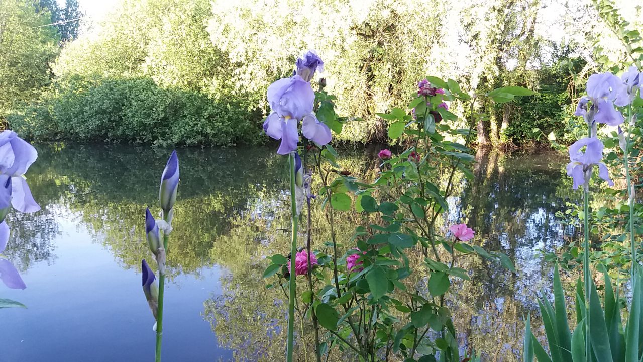 Pensions de qualité, enseignement et gîtes