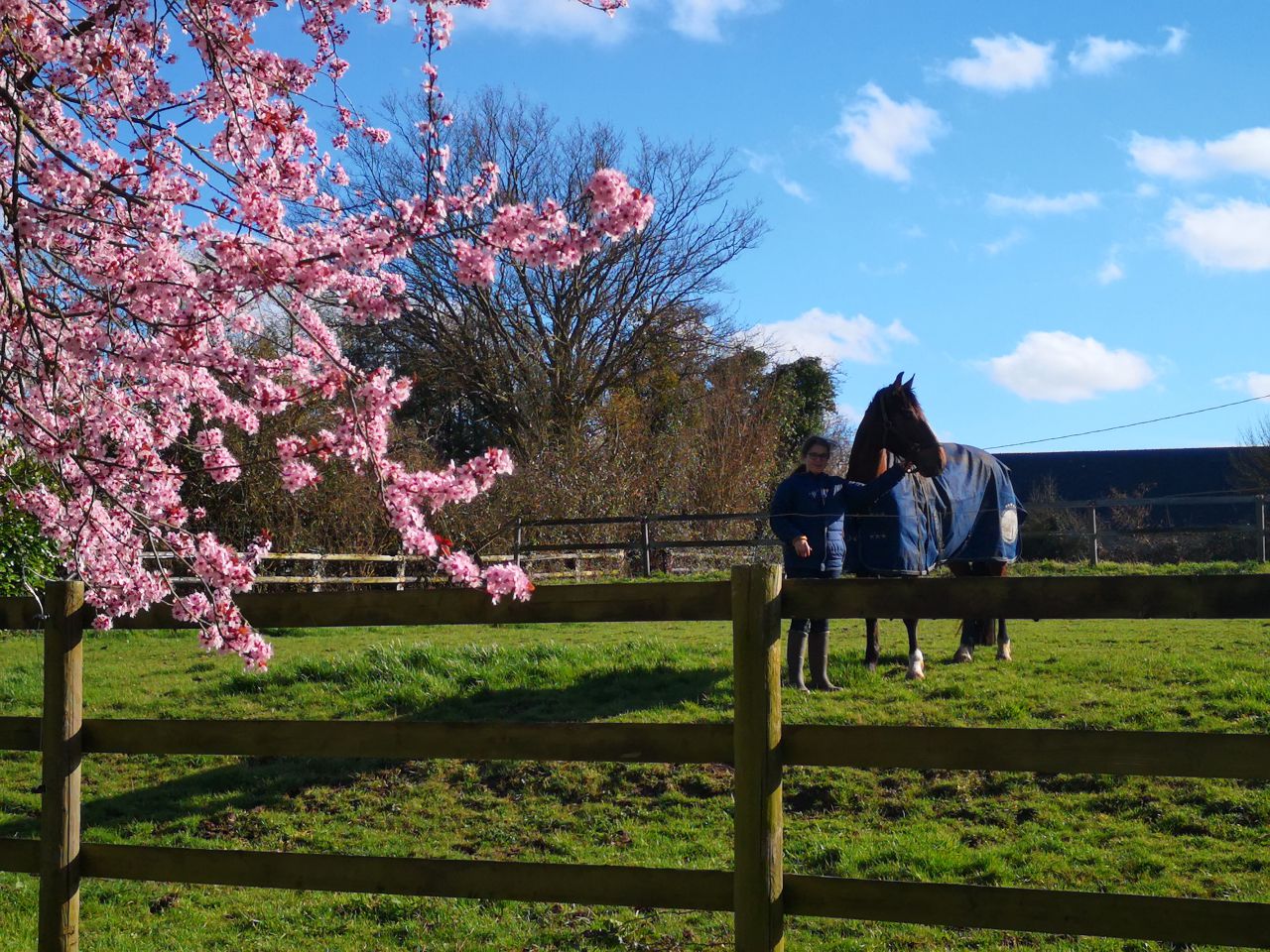 Pensions de qualité, enseignement et gîtes