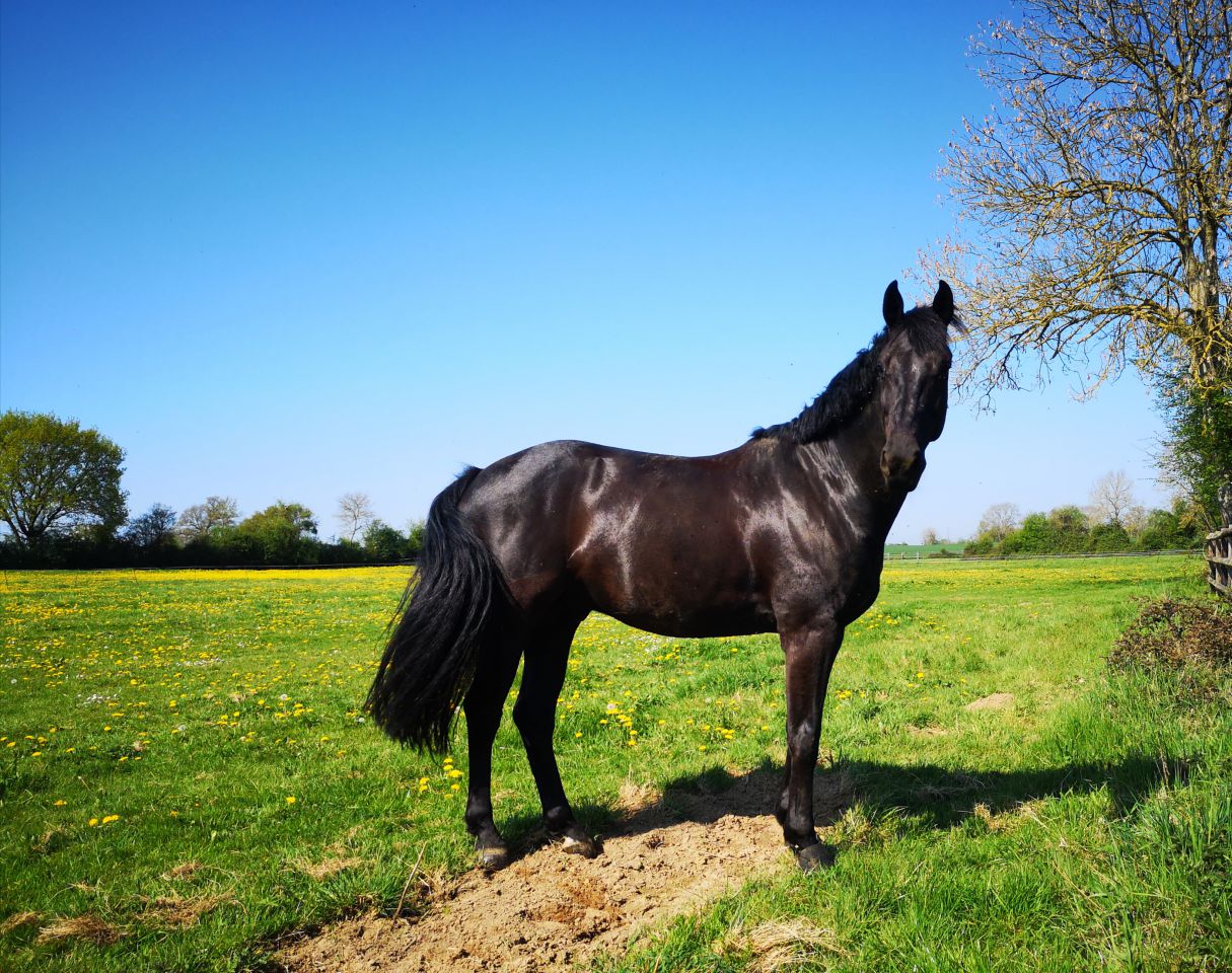 Pensions de qualité, enseignement et gîtes