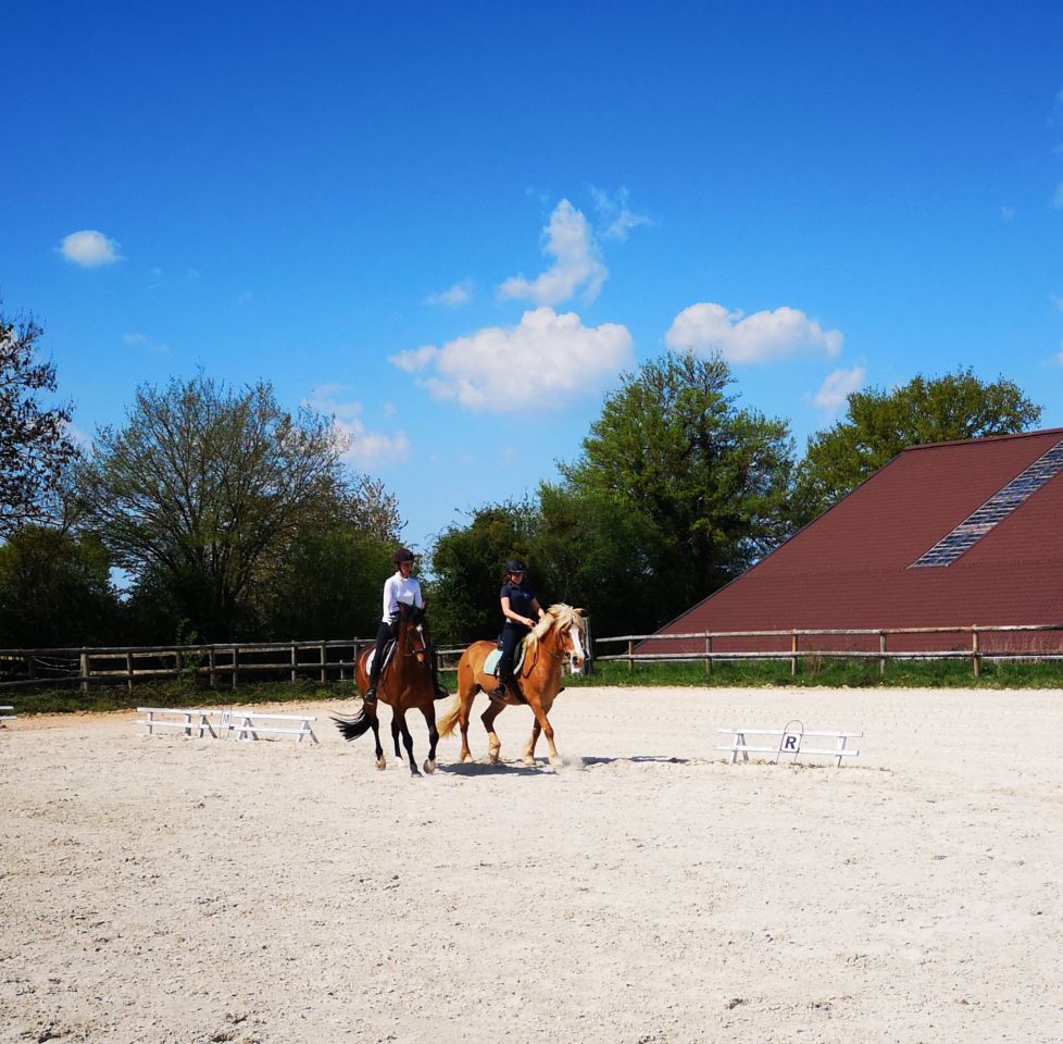 Pensions de qualité, enseignement et gîtes