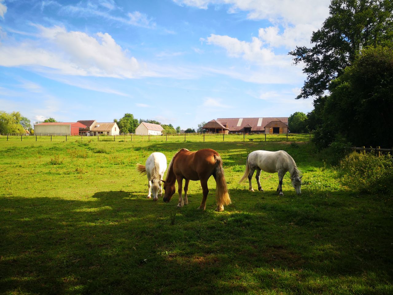 Pensions de qualité, enseignement et gîtes