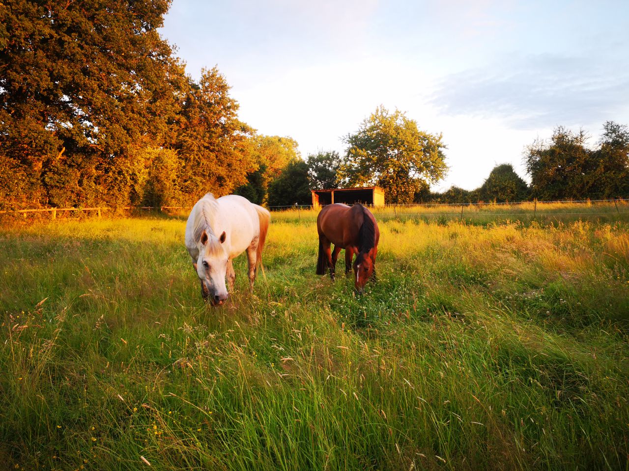 Pensions de qualité, enseignement et gîtes