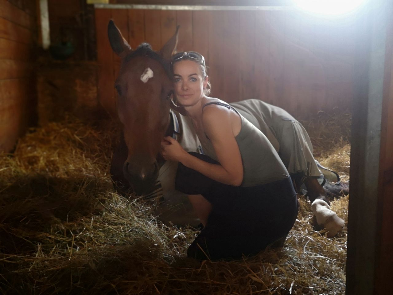 Pensions de qualité, enseignement et gîtes