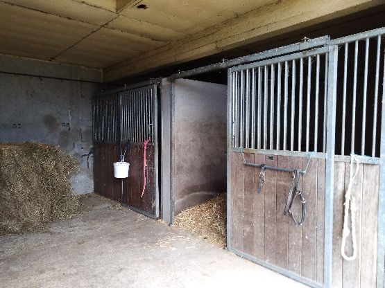 les prairies de jade