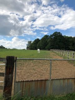 les prairies de jade