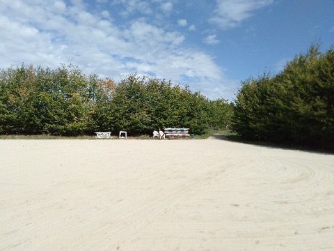 les prairies de jade