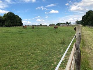 les prairies de jade