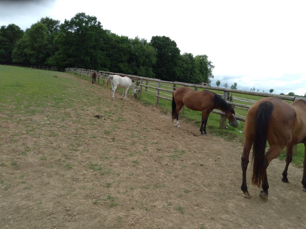 les prairies de jade