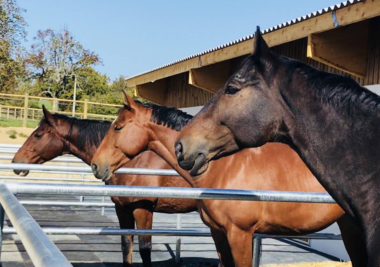 &Eacute;curies de propri&eacute;taires &agrave; Bassy haute savoie