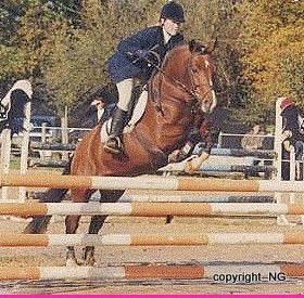 Willoway Montmain Gold Charm