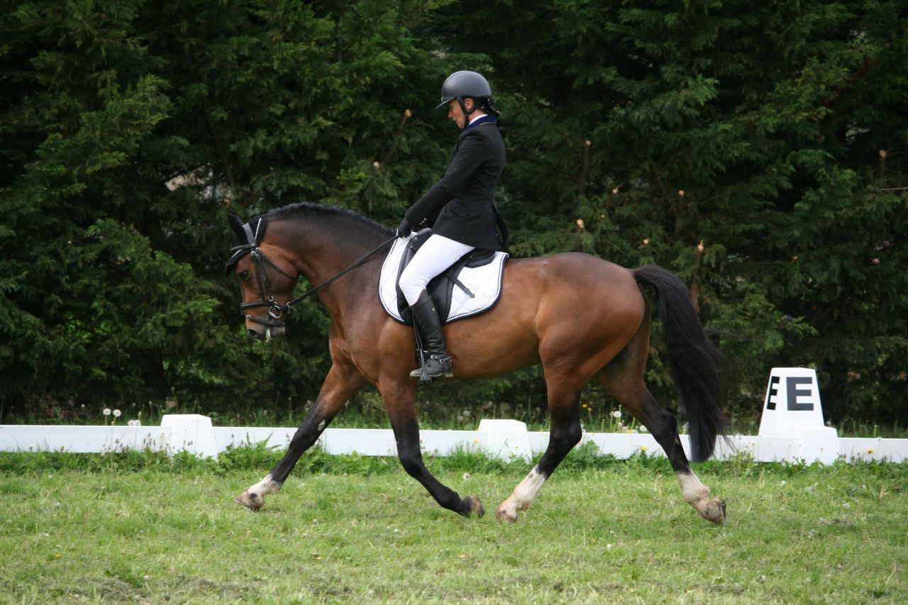 Tucson du Rif (26 Drome)