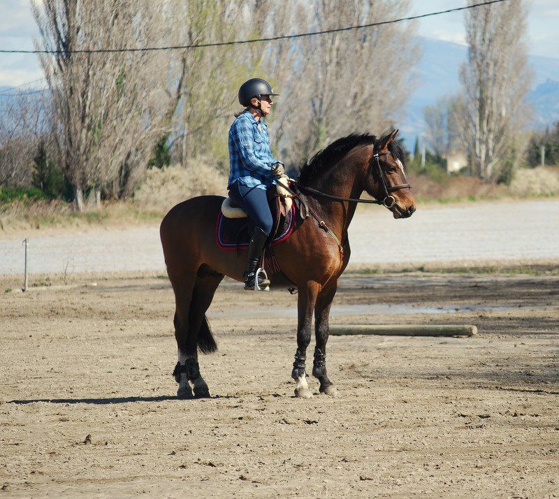 Tucson du Rif (26 Drome)