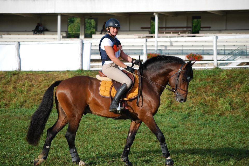 Tucson du Rif (26 Drome)